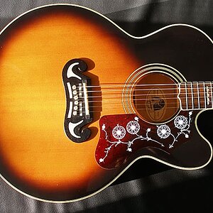 Epiphone Body