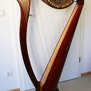 Keltische Harfe AOYAMA - 130 B
34-saitig, Nylonsaiten,
braun gebeizt, seidenmat