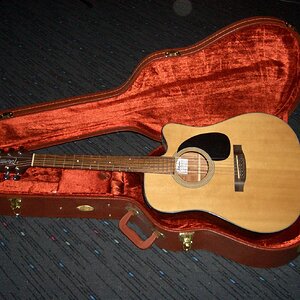 Takamine EG320