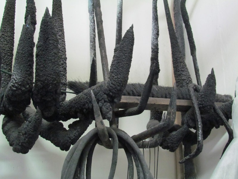 19Lackhaken