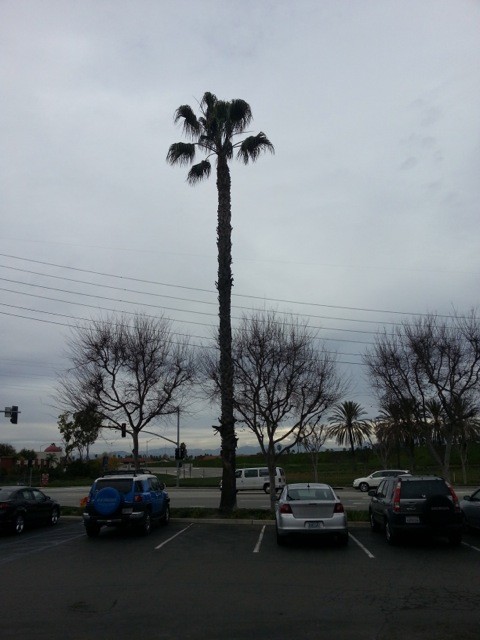 20130123 150459