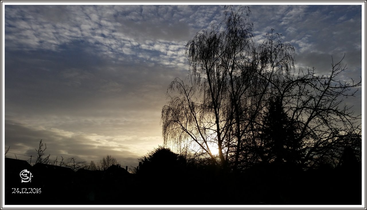 20161224_094154 Rsig Morgensonne Heiligabend