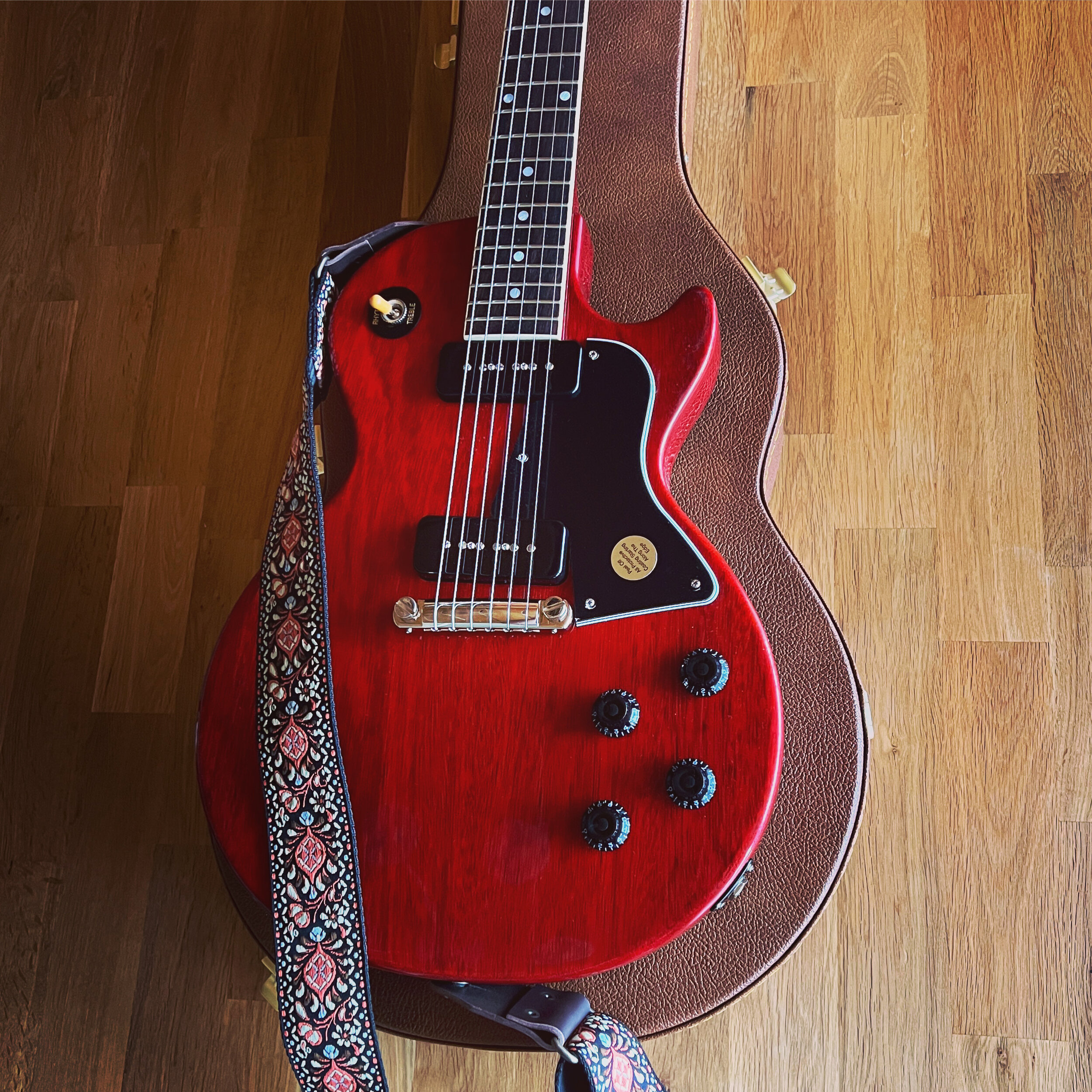 2023 Gibson Les Paul Special Vintage Cherry