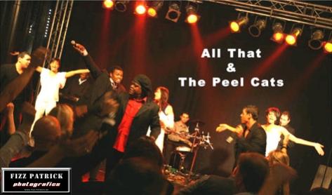 All That & Peel Cats I