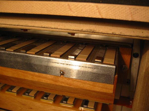 Basszungen2