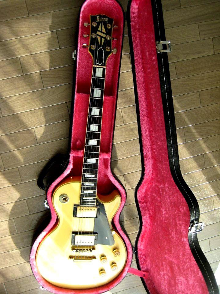 Burny RR VI