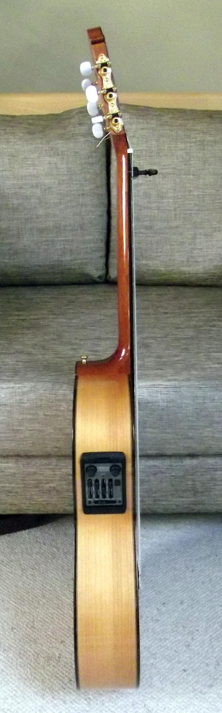 Camps FL-11-C, Fishman Prefix Elektrik, ein Mix aus Piezo und Kondensatormic welcher sich mittels "Blend" Regler stufenlos mixen lässt, mit Bass, Middle, Treble, Volume, Notch Filter und Frequence Contour, Tuner und Phase