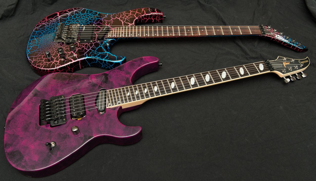 Caparison Horus und Washburn EC29