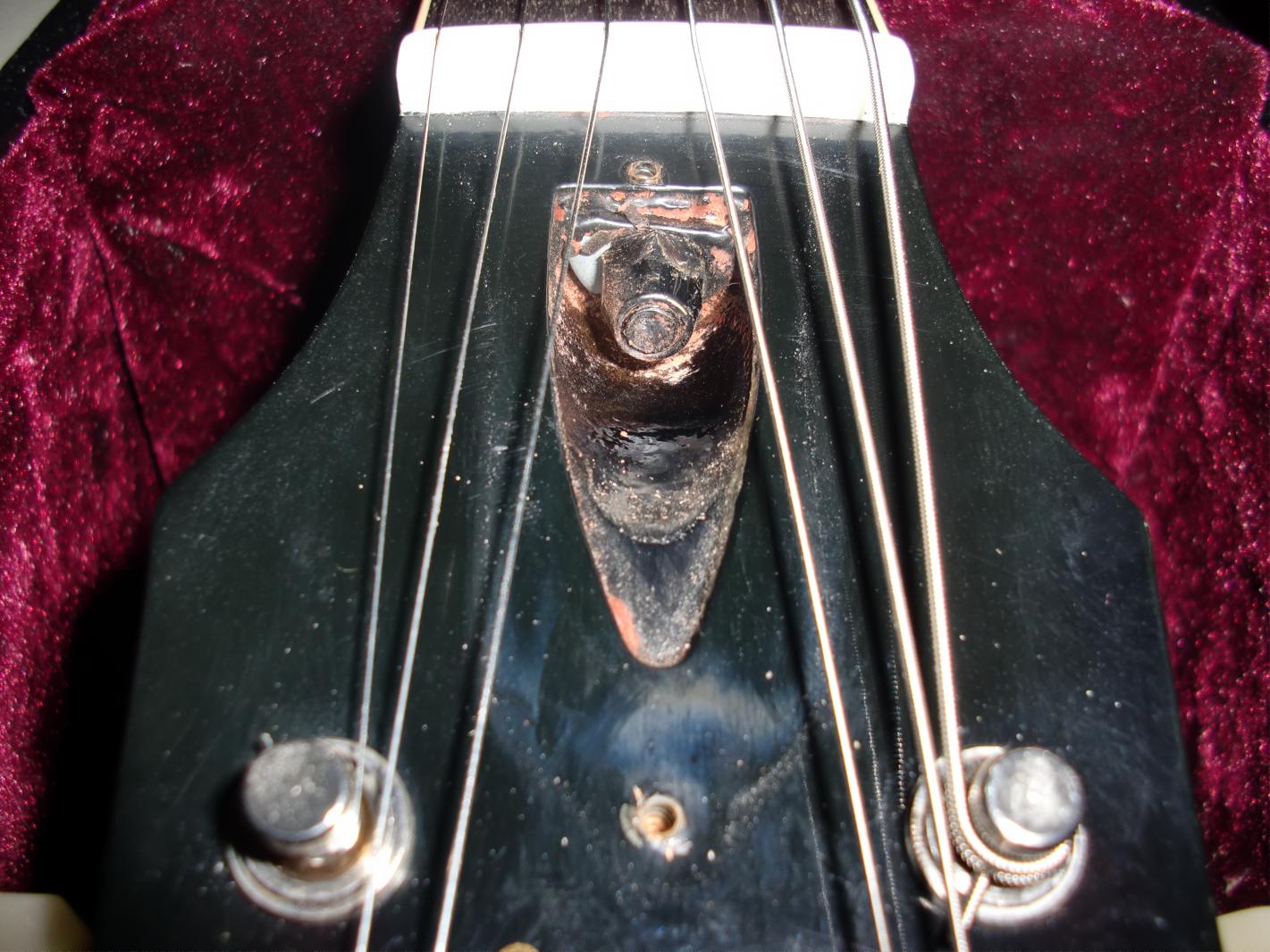 Custom Shop Model