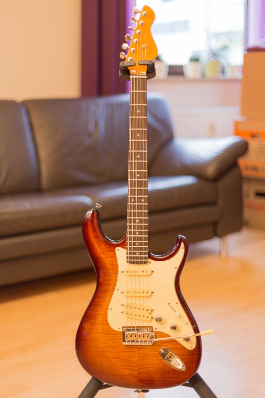Die Gitarre
