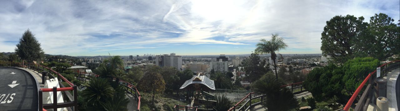 Downtown View