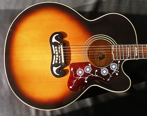 Epiphone Body