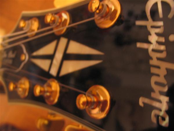 Epiphone Custom - Head