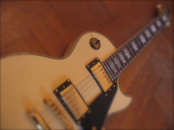 Epiphone Custom