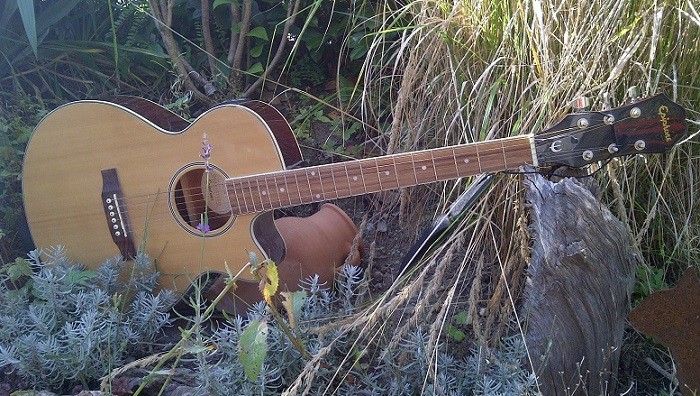 Epiphone PR 4E