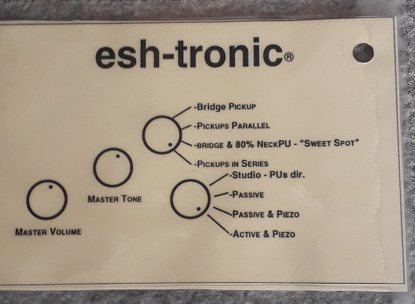 esh-tronic.jpg