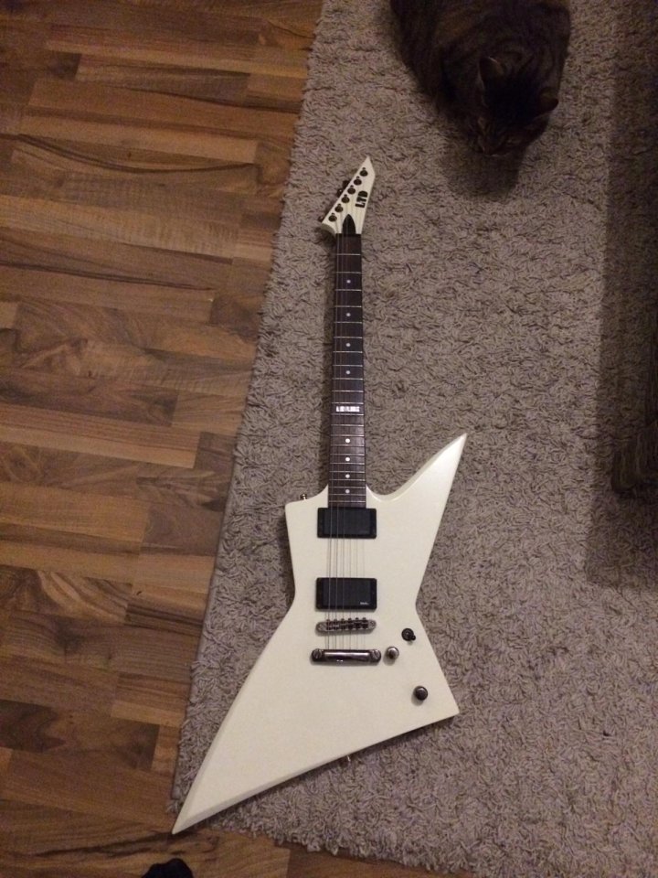 ESP LTD Explorer 01