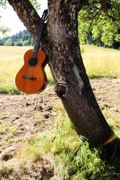 Framus am Baum