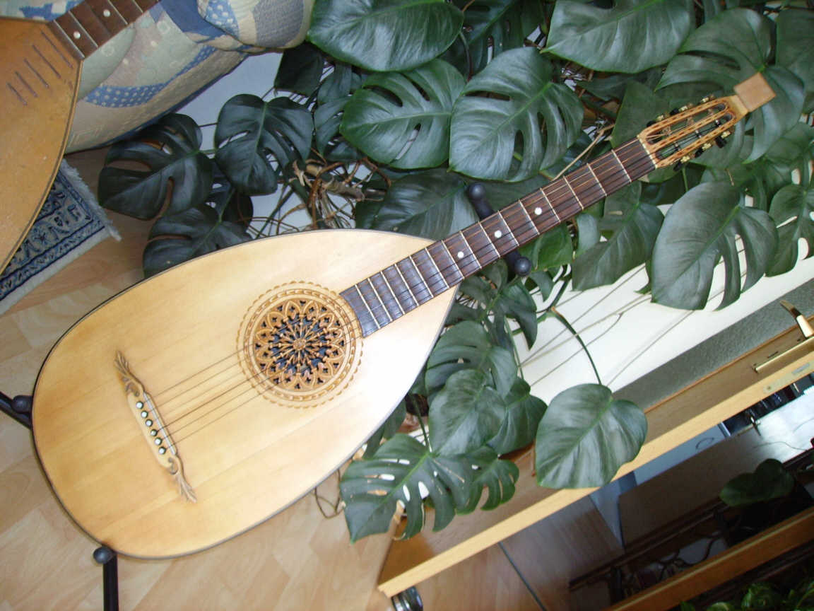 Gitarrenlaute, ca 1900 (geschätzt) Vorderseite mit sehr feiner,aus der Decke geschnitzter Schalllochrosette

Decke Fichte, Korpus Ahorn, Hals Buche. Original Mechaniken. gekehltes Griffbrett von Vorbesitzer nachträglich aufgesetzt. Kopfplatte angesetzt. Risse in Decke und Korpus geschlossen. Das Instrument ist in der natürlichen Holzfärbung belassen und gewachst. Sattelbreite 44mm, Mensur 630mm. Saitenabstand über Bund 9 ca. 4mm. Das Instrument hat einen sehr schönen Klang und wird regelmäßig gespielt

Falls jemand genaueres zu dem abgebildeten Instrument weiß (Baujahr, Hersteller, etc.), bitte unbedingt an mich weitergeben.