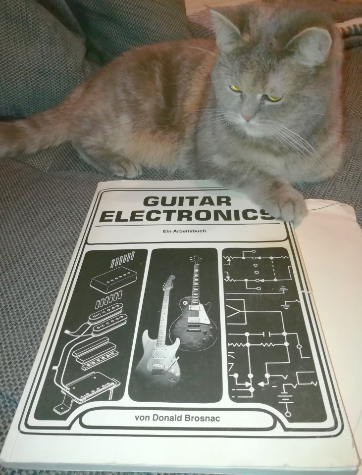 Guitar Electronics