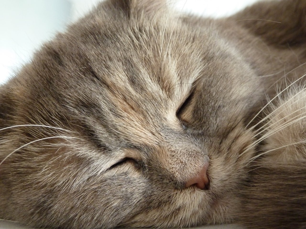 Gute Nacht