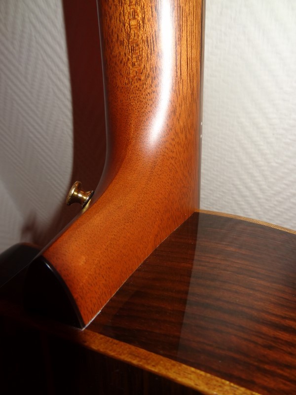 Halsfuß (600x800)