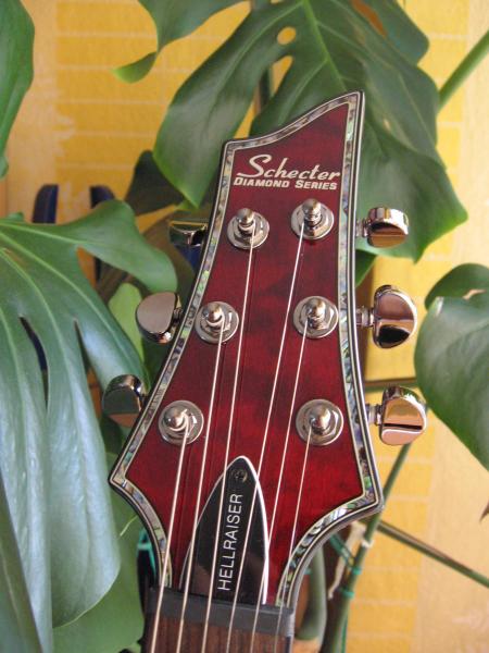 Hellraiser Headstock