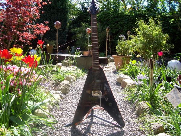 Hohner Professional FV Flying Devil