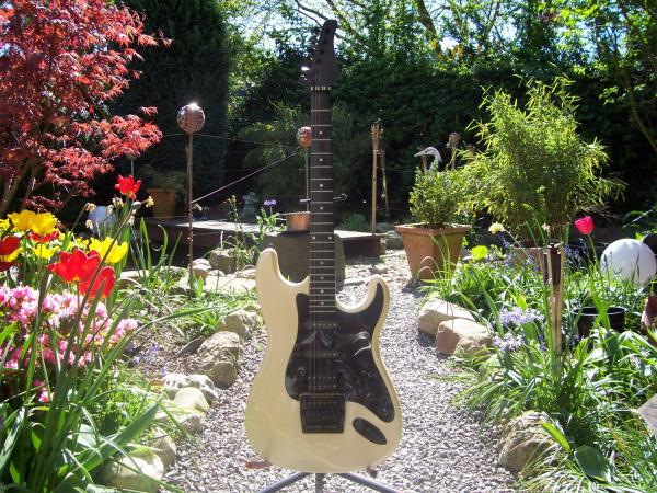 Hohner Professional St Lead