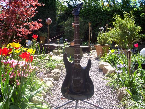 Hohner Professional St Lynx