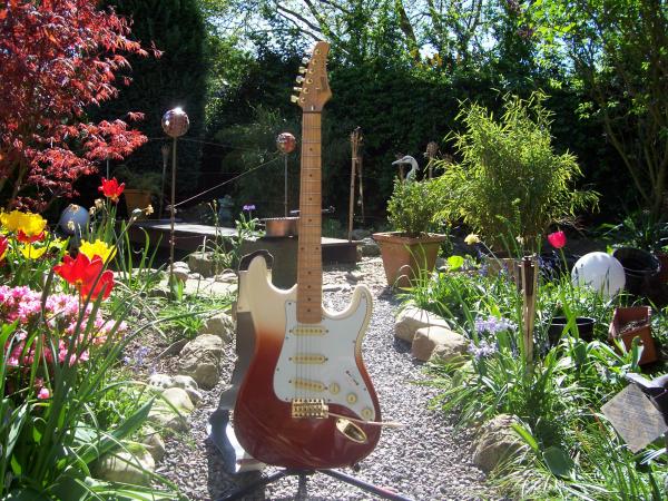 Hohner Professional St Special S2