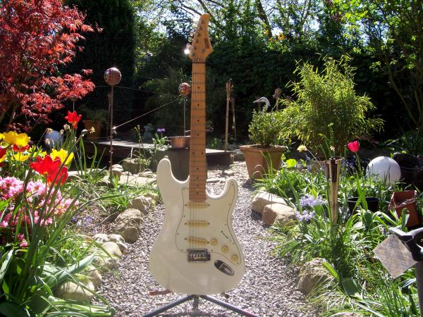 Hohner Professional St Special