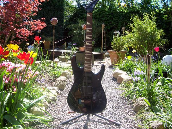 Hohner Professional St Viper 1