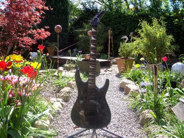 Hohner Professional St Viper 2