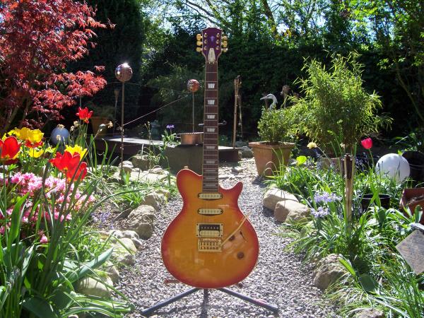 Hohner Professional The Flame