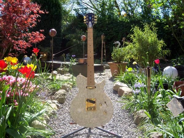 Hohner Professional The Pearl