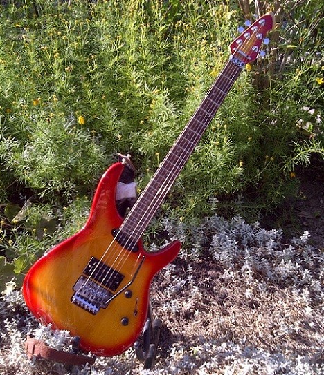 Hohner Soulpick Prototype 1