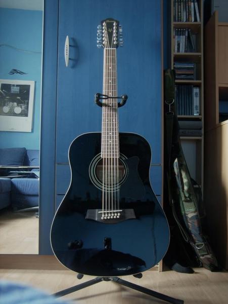 Ibanez 12 Saiter