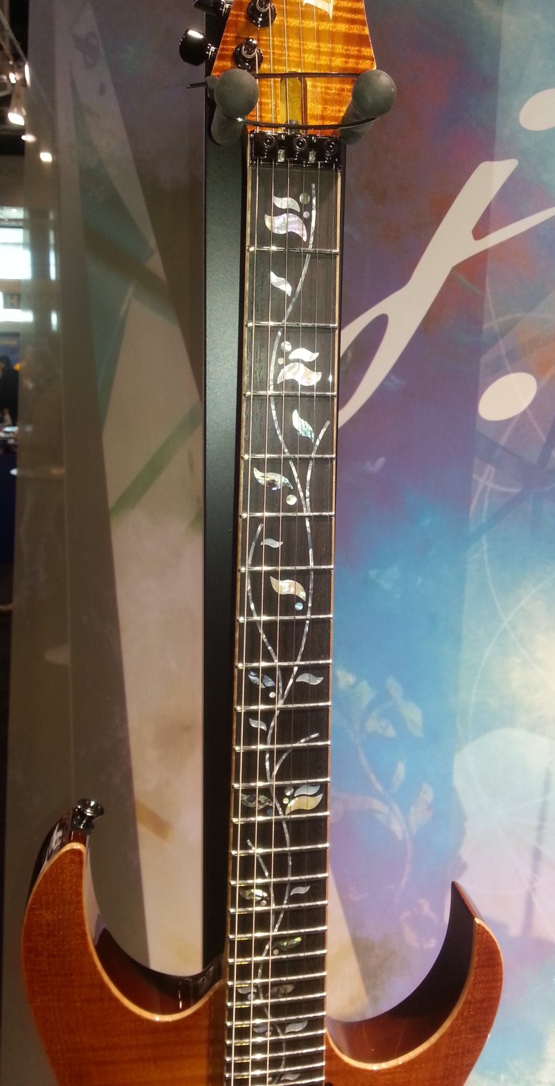 Ibanez j.custom Fretboard