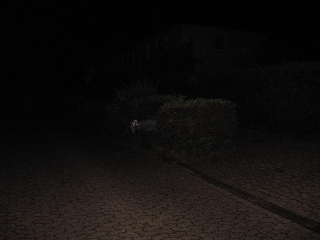 IMG 5696