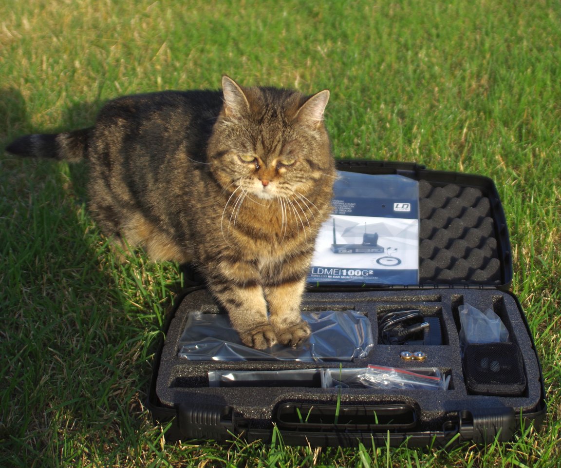 LD MEI-100G2 In-Ear-System mit Katze
