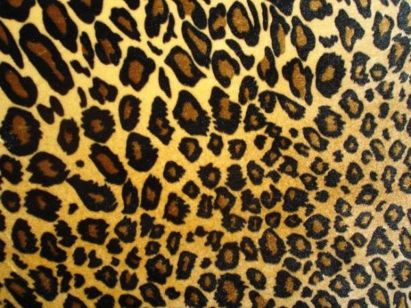 leopard print