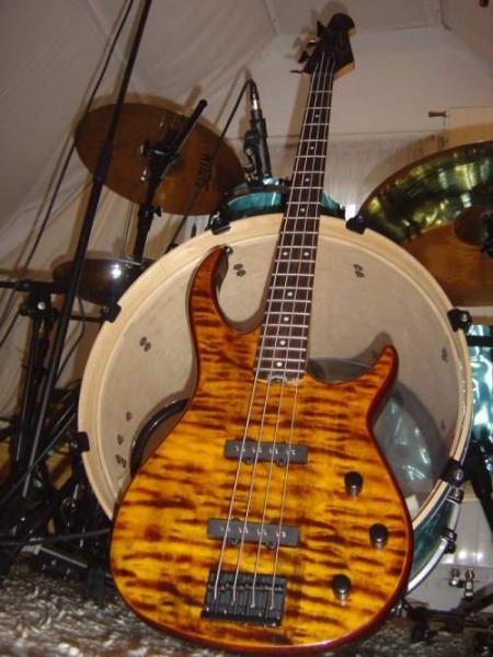 Mein Peavey 4 String Tiger ;)
