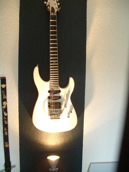 Meine Gitarren 024