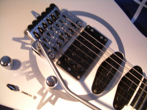 Meine Gitarren 035
