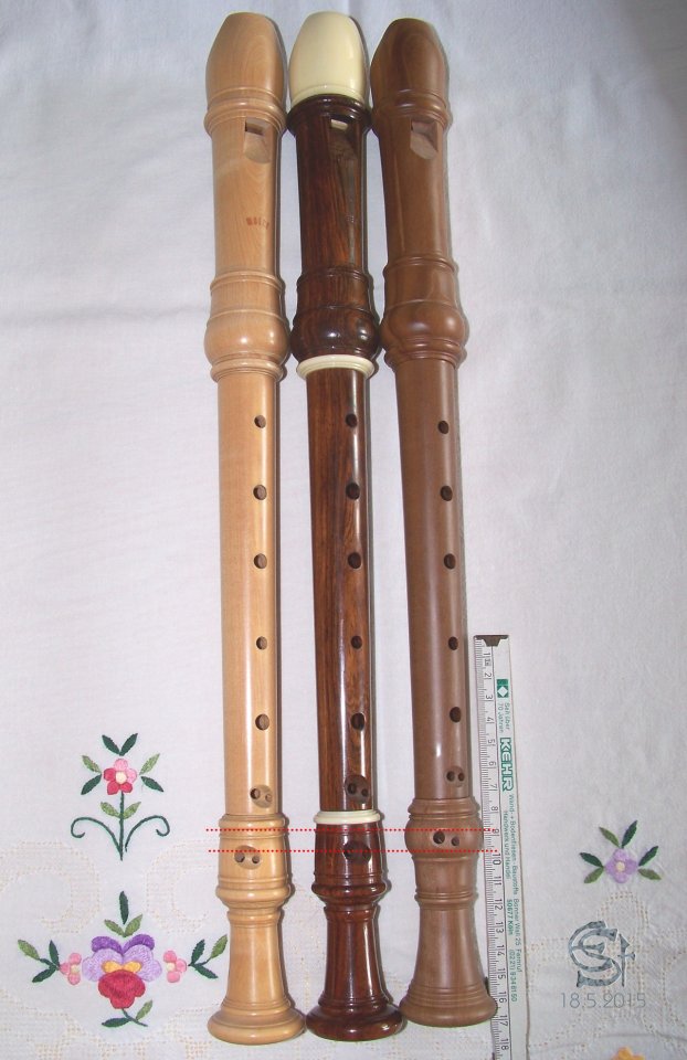 Moeck Rottenburgh Ahorn Palisander Fehr Modell3 Birnbaum 100_0841ab