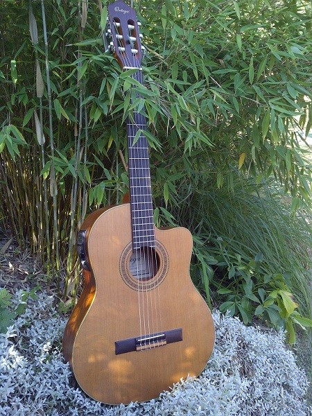 Ortega RCE131 SN