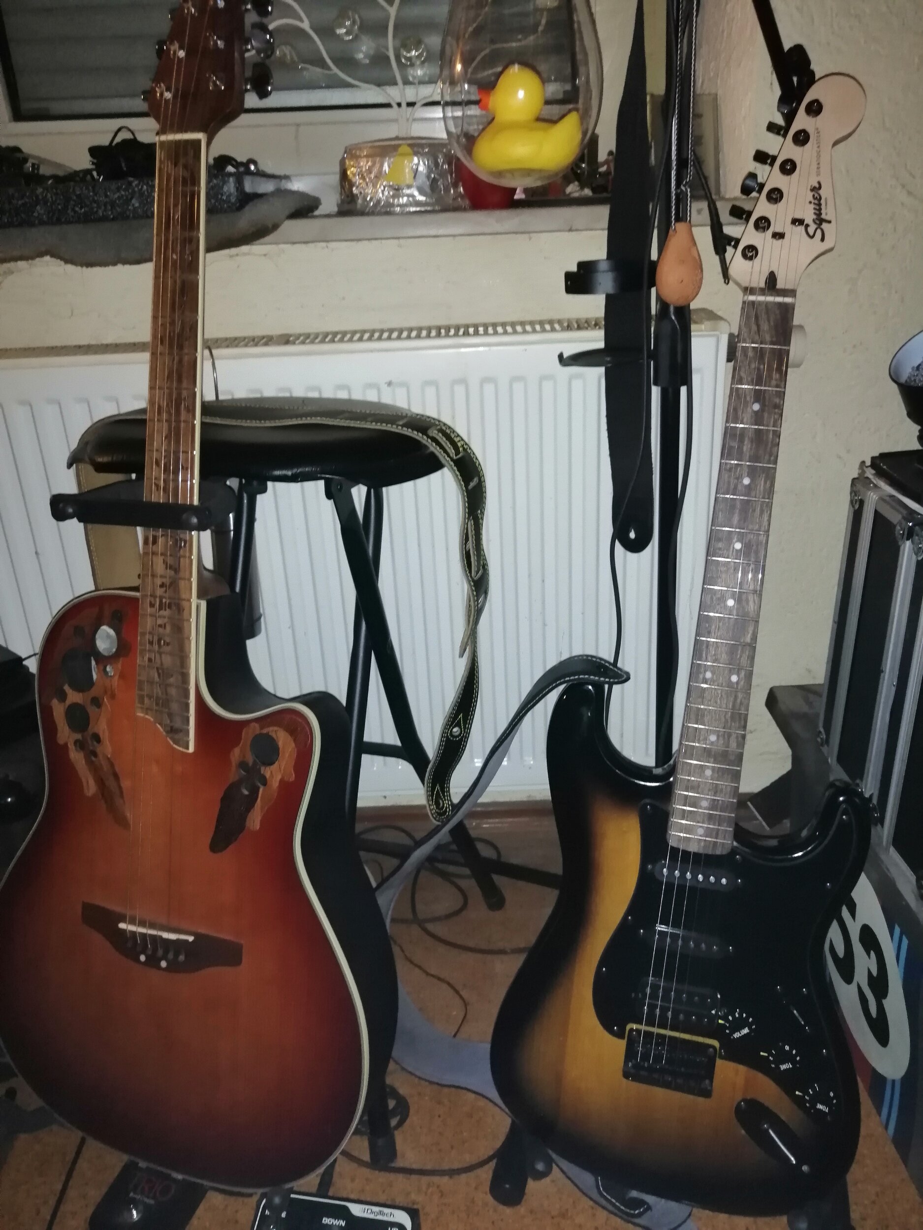 Ovation und Stratocaster