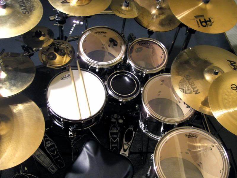 Pearl Ω Export