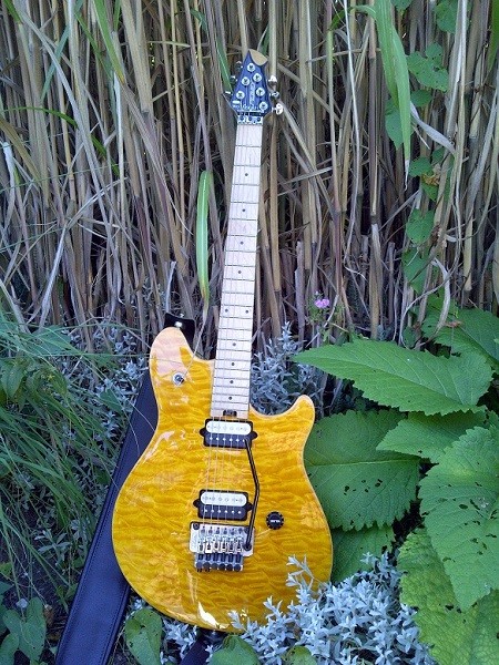 Peavey Wolfgang EVH